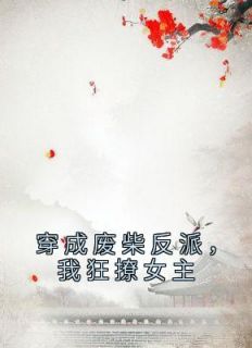 [穿成废柴反派，我狂撩女主]傅天凌苏幻雪小说全文章节目录免费试读
