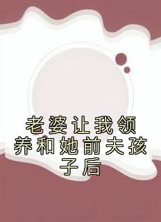 周正刘兰张昊小说 《老婆让我领养和她前夫孩子后》小说全文在线试读
