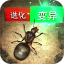 揭秘新澳精准资料