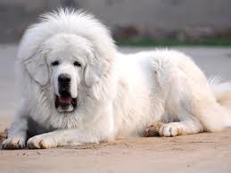 博万通官网首页游戏