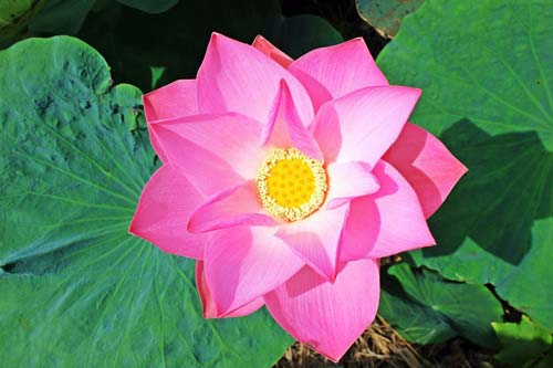易盈彩票12cc下载