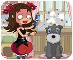 k球app官网下载