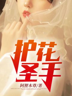 林峰苏晴《护花圣手》完结版小说全文免费阅读