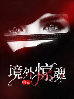 《境外惊魂》by响云免费阅读小说大结局