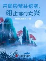 张枫孙悟空主角抖音小说《西游：算计孙悟空，阻止西行！》在线阅读