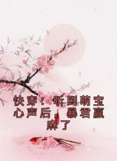 《元软吴毅》小说免费试读 《元软吴毅》最新章节列表

