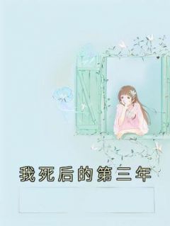 《我死后的第三年》小说章节列表免费阅读 静静祁佑媛媛小说全文
