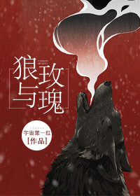 狼与玫瑰全章节免费在线阅读 姜茴陈涞完结版